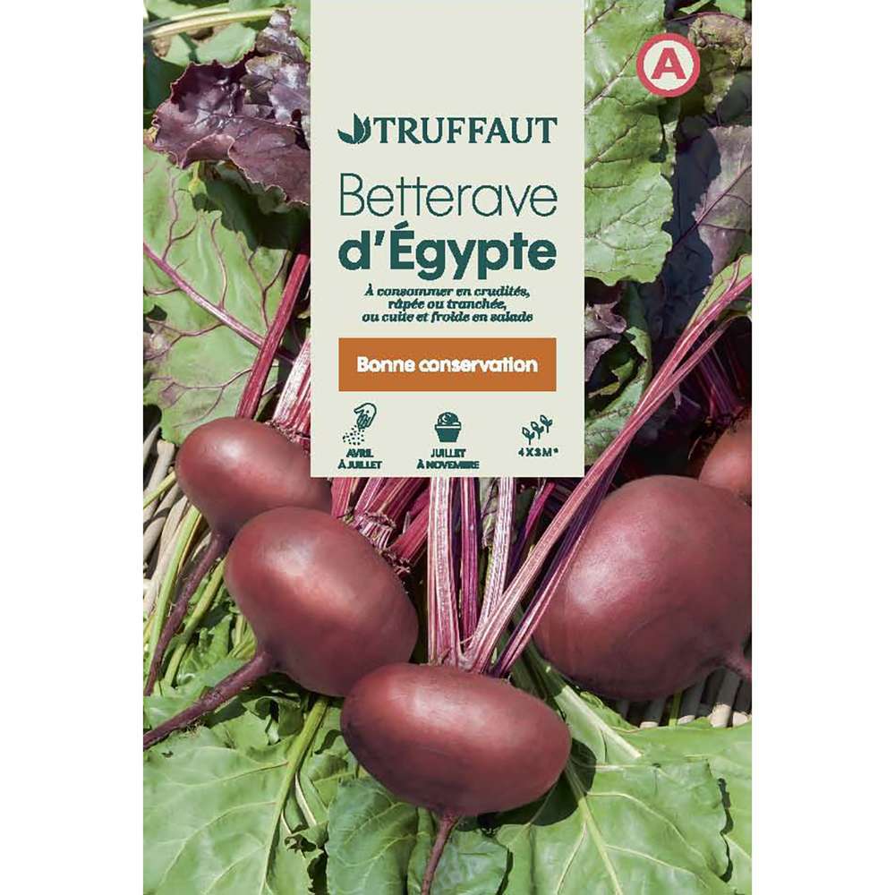BETTERAVE EGYPTE TRUF-(726004)
