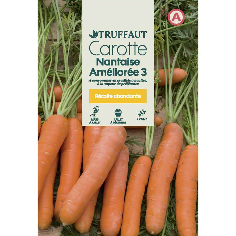 CAROTTE NANTAISE TRUF-(726005)