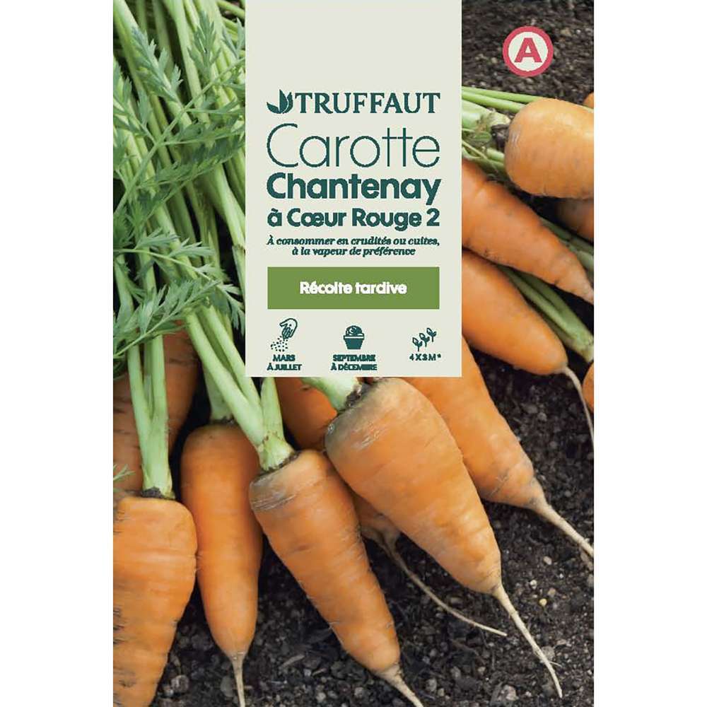 CAROTTE CHANTENAY TRUF-(726006)
