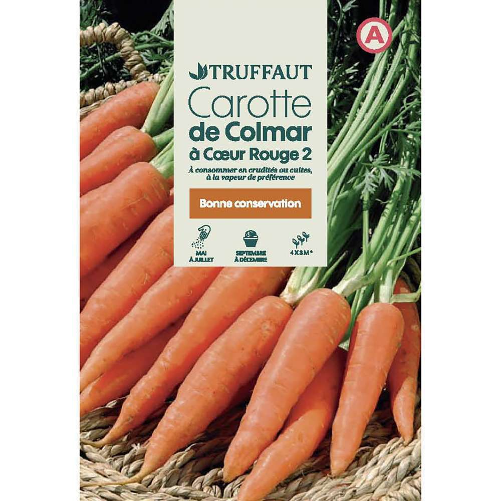 CAROTTE COLMAR TRUF-(726008)