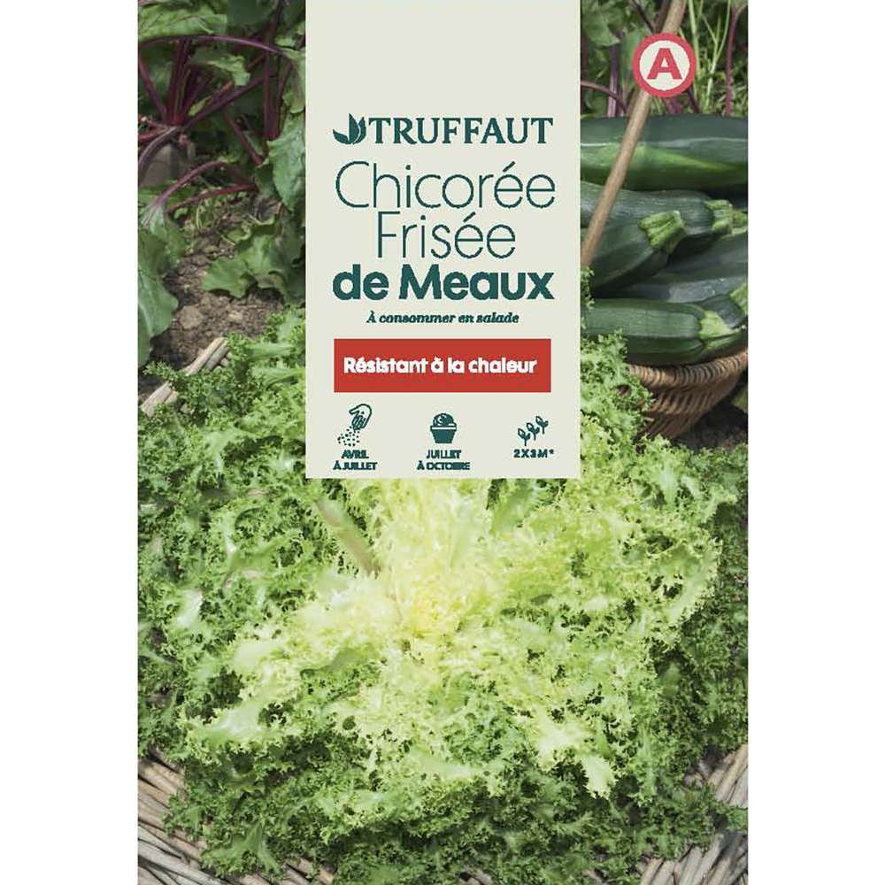 CHICOREE DE MEAUX TRUF-(726010)