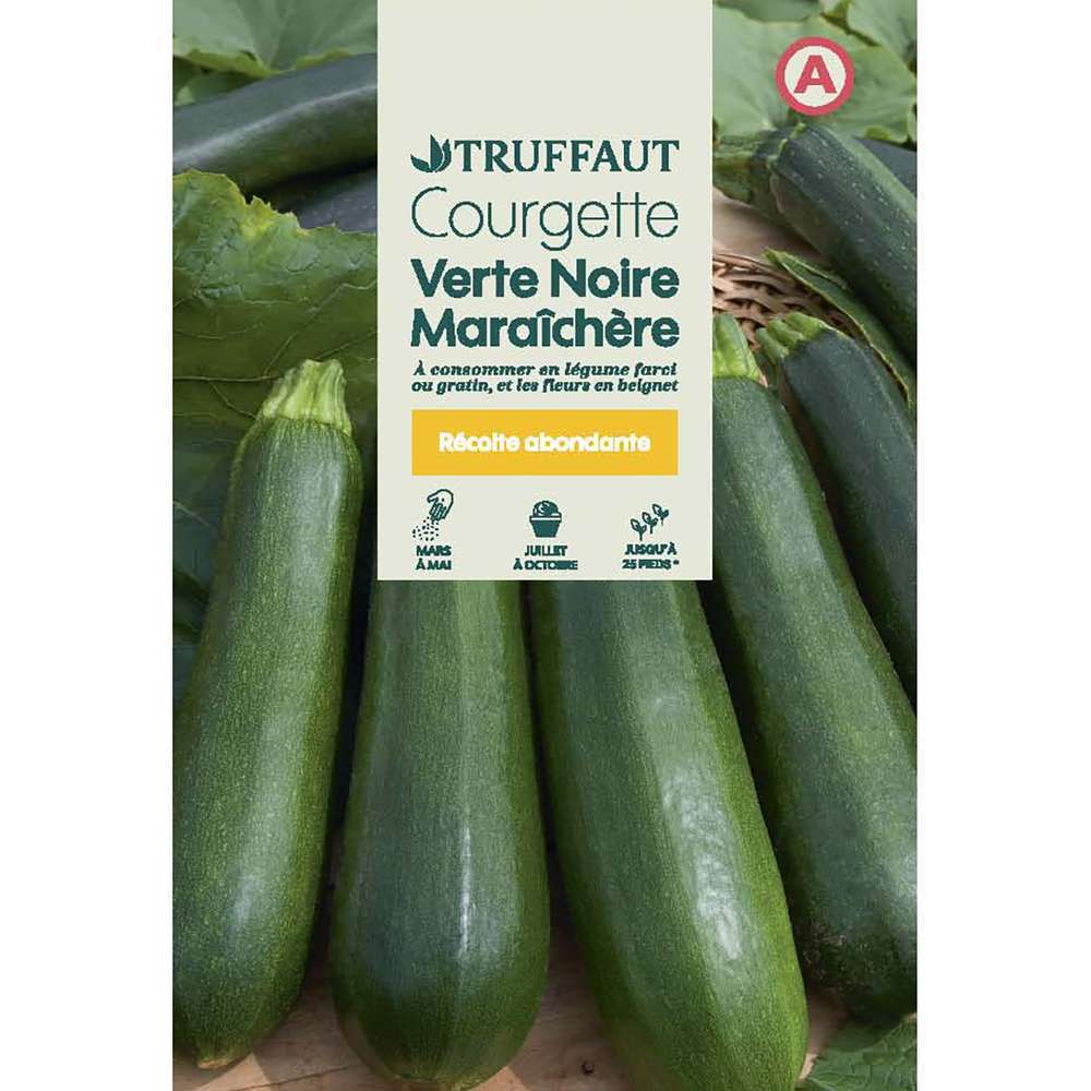 COURGETTE MARAICHERE TRUF-(726013)