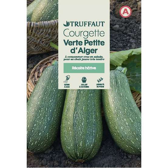 Graines De Courgette Verte Petite D Alger En Sachet Truffaut Graines De Courgette Verte Petite D Alger En Sachet Truffaut