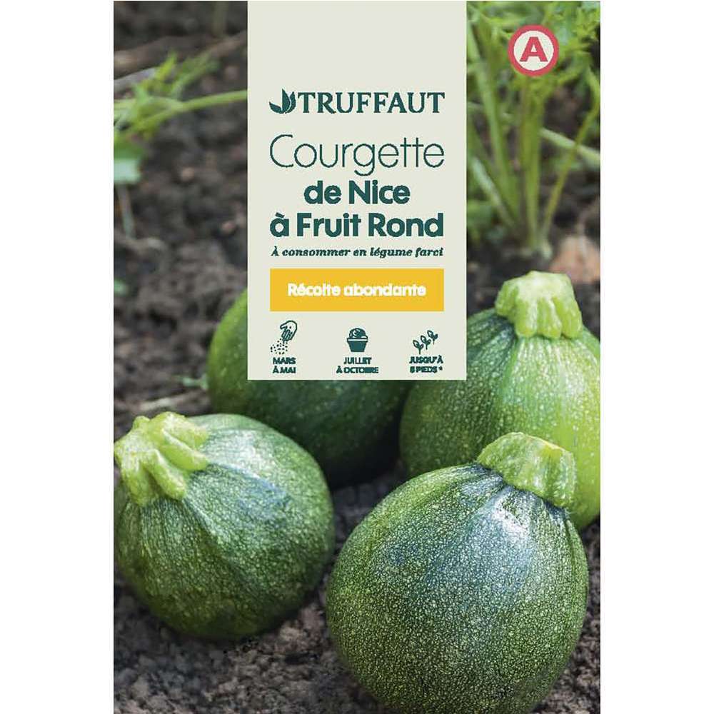 COURGETTE NICE ROND TRUF-(726015)