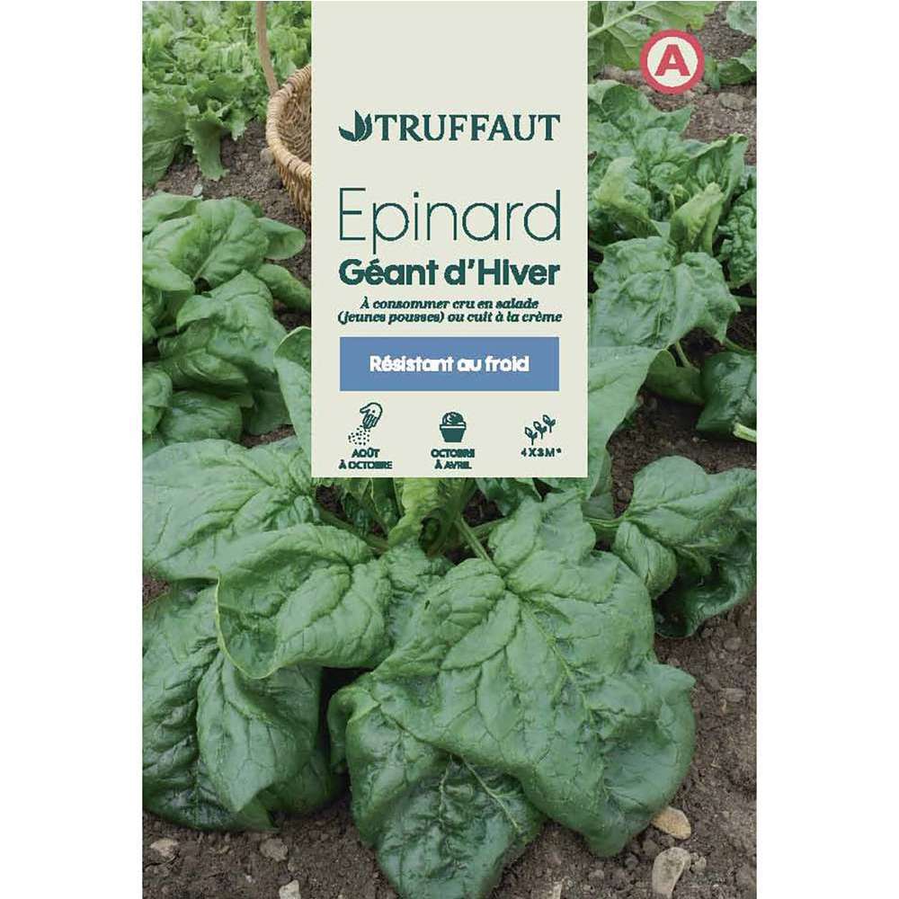 EPINARD GEANT HIVER TRUF-(726017)