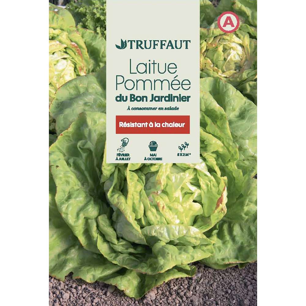 LAITUE BON JARDINIER TRUF-(726020)
