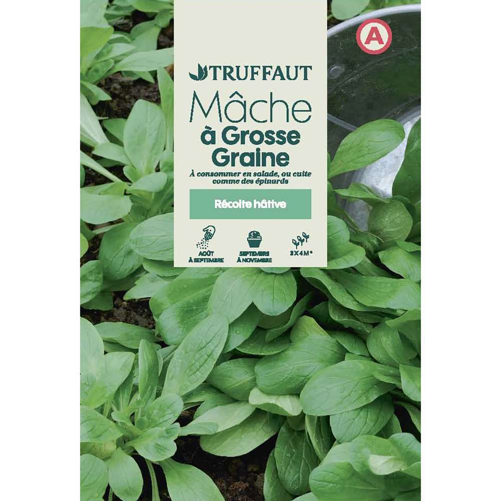 MACHE GROSSE GRAINE TRUF-(726024)