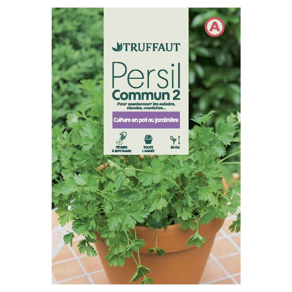 Graines de persil commun 2 en sachet