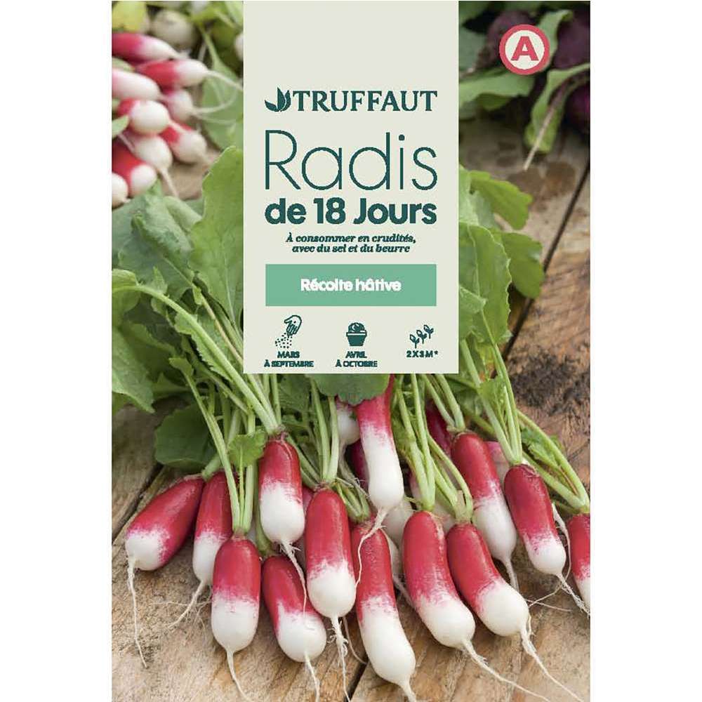 RADIS DE 18 JOURS TRUF-(726030)