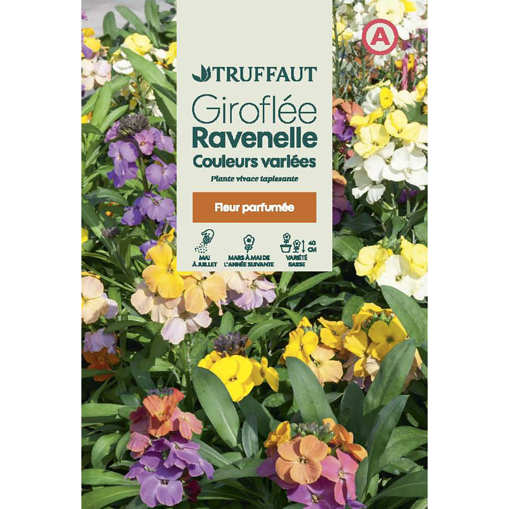 GIROFLEE RAVENELLE MIX TRUF-(726033)