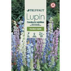 LUPIN ANNUEL MIX TRUF-(726034)