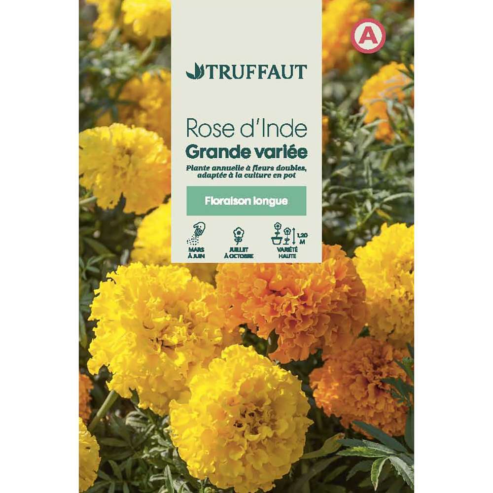 ROSE INDE GRAND MIX TRUF-(726035)