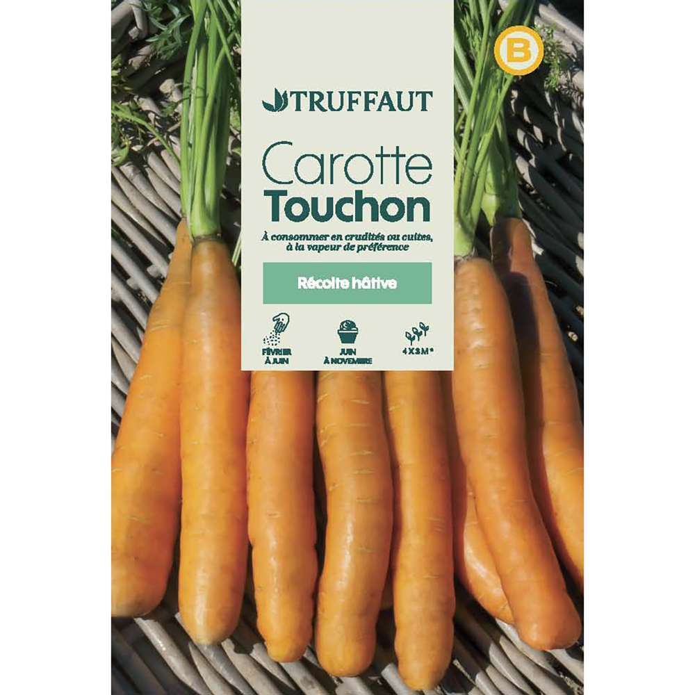 CAROTTE TOUCHON TRUF-(726041)