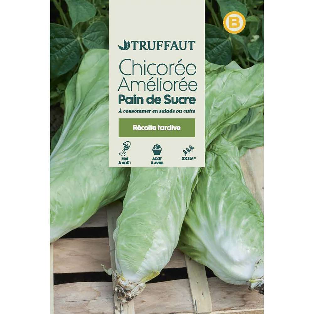 CHICOREE PAIN SUCRE TRUF-(726042)