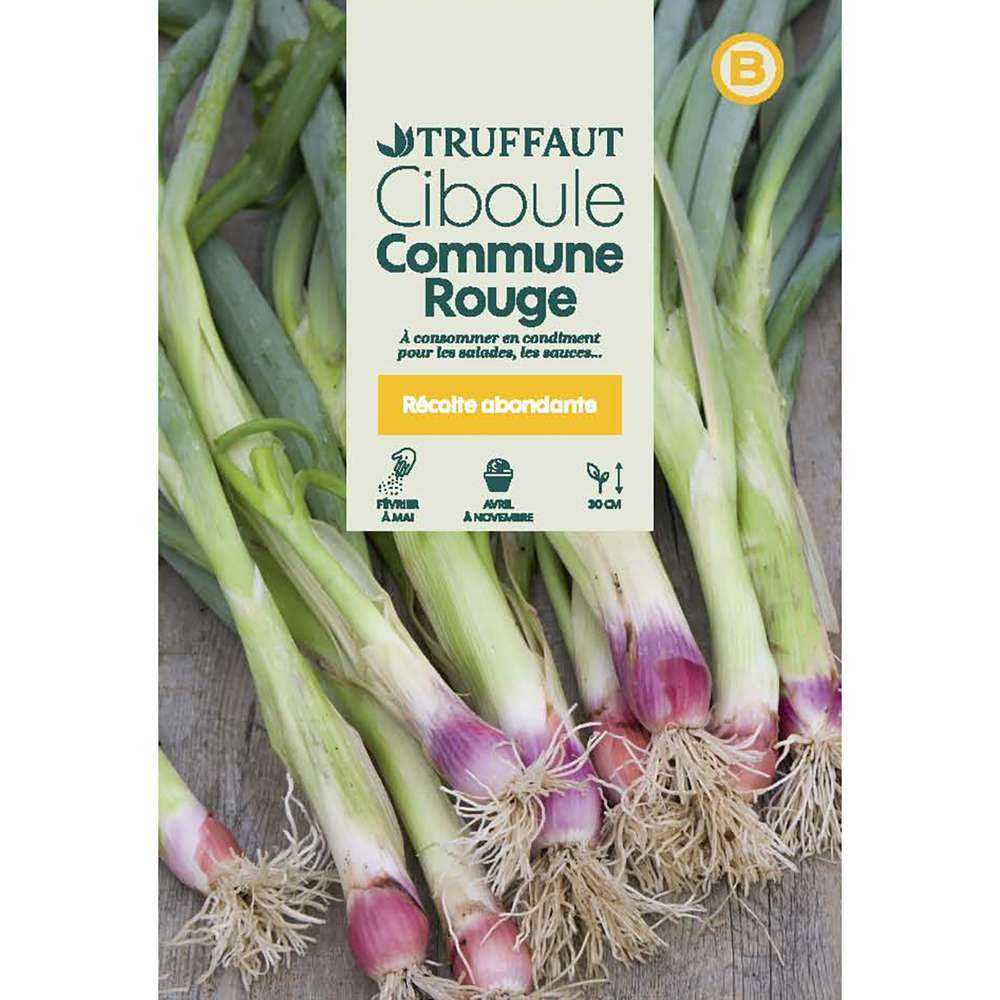 CIBOULE COMMUNE ROUGE TRUF-(726044)