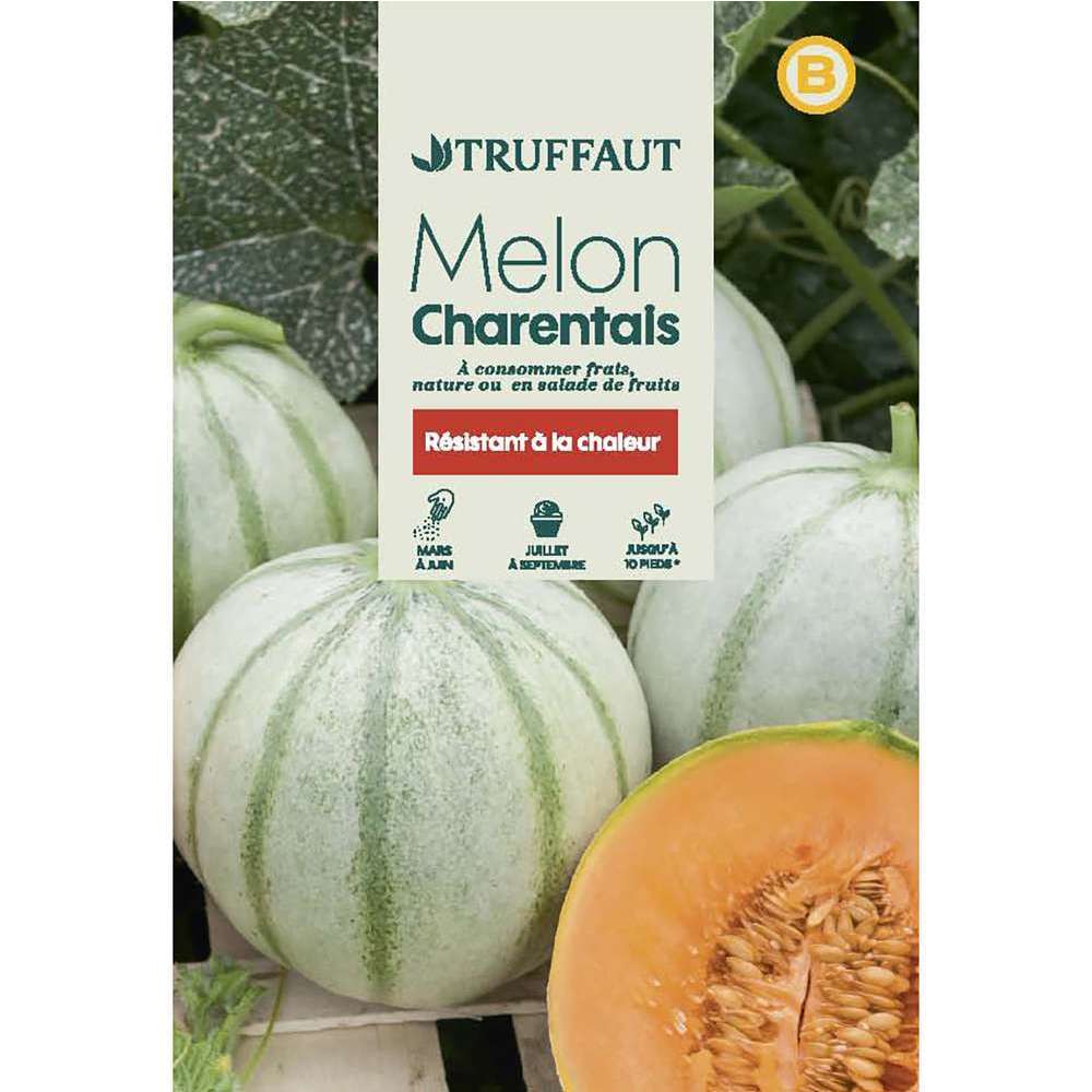 MELON CHARENTAIS TRUF-(726056)