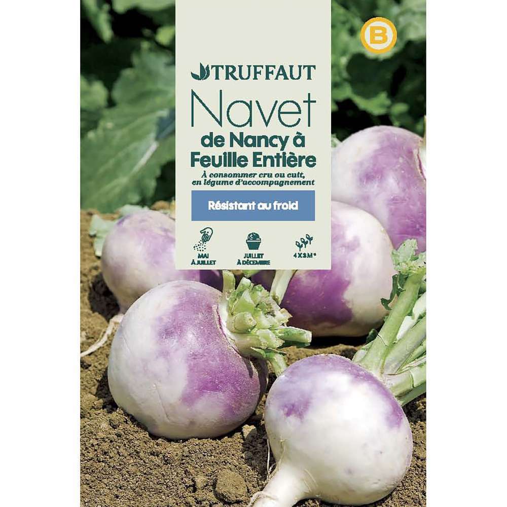 NAVET DE NANCY TRUF-(726061)