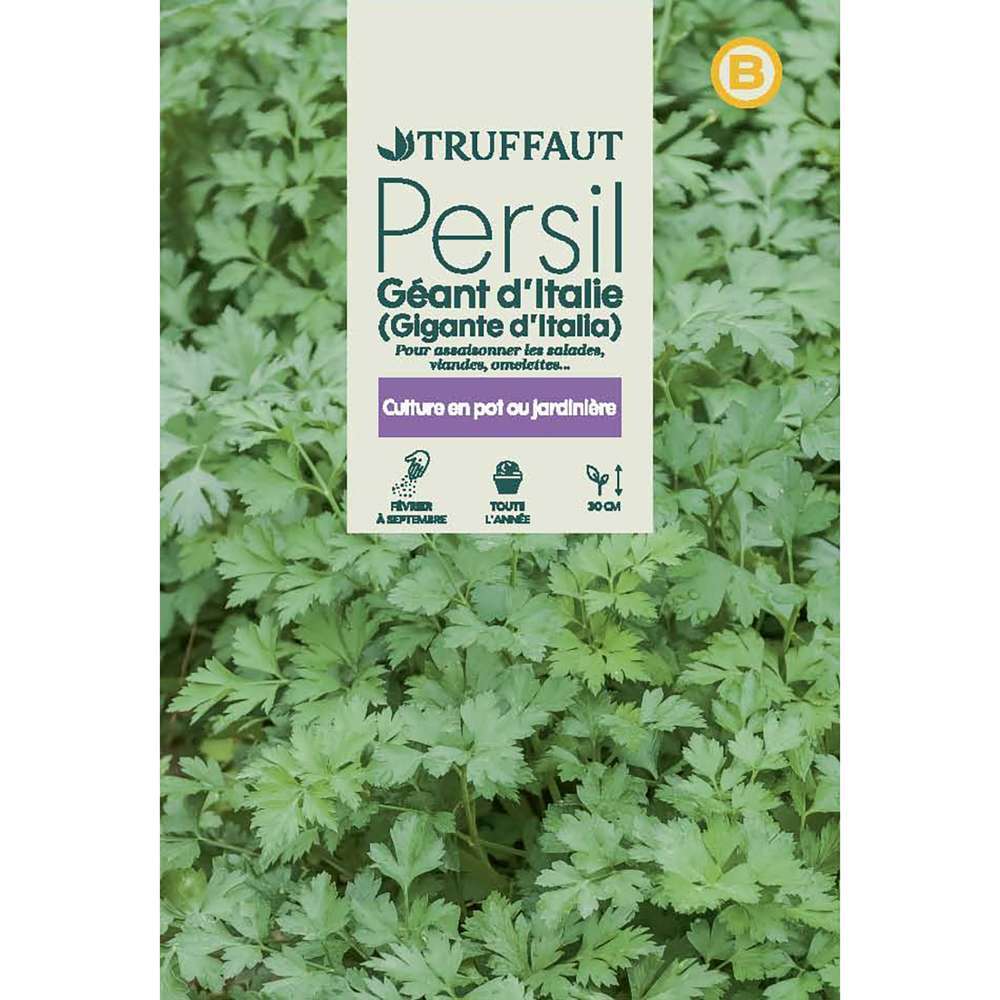 PERSIL GEANT ITALIE TRUF-(726064)