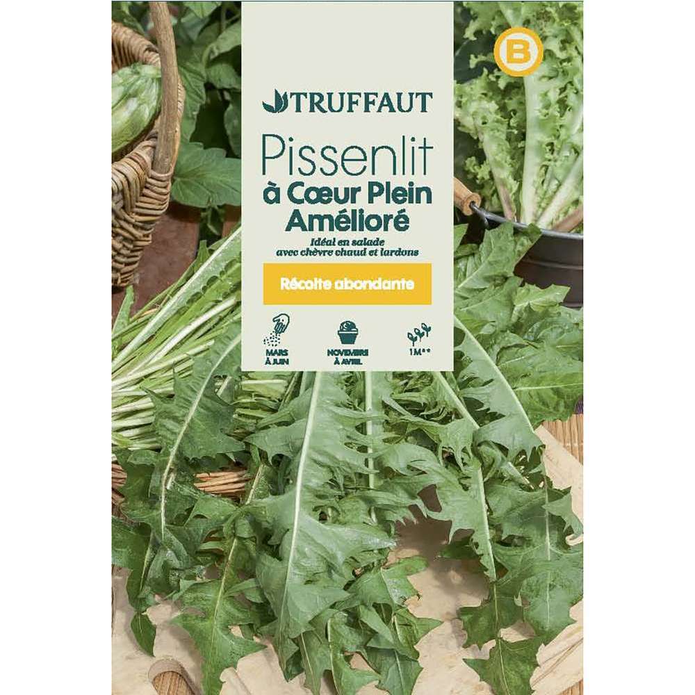 PISSENLIT COEUR PLEIN TRUF-(726068)