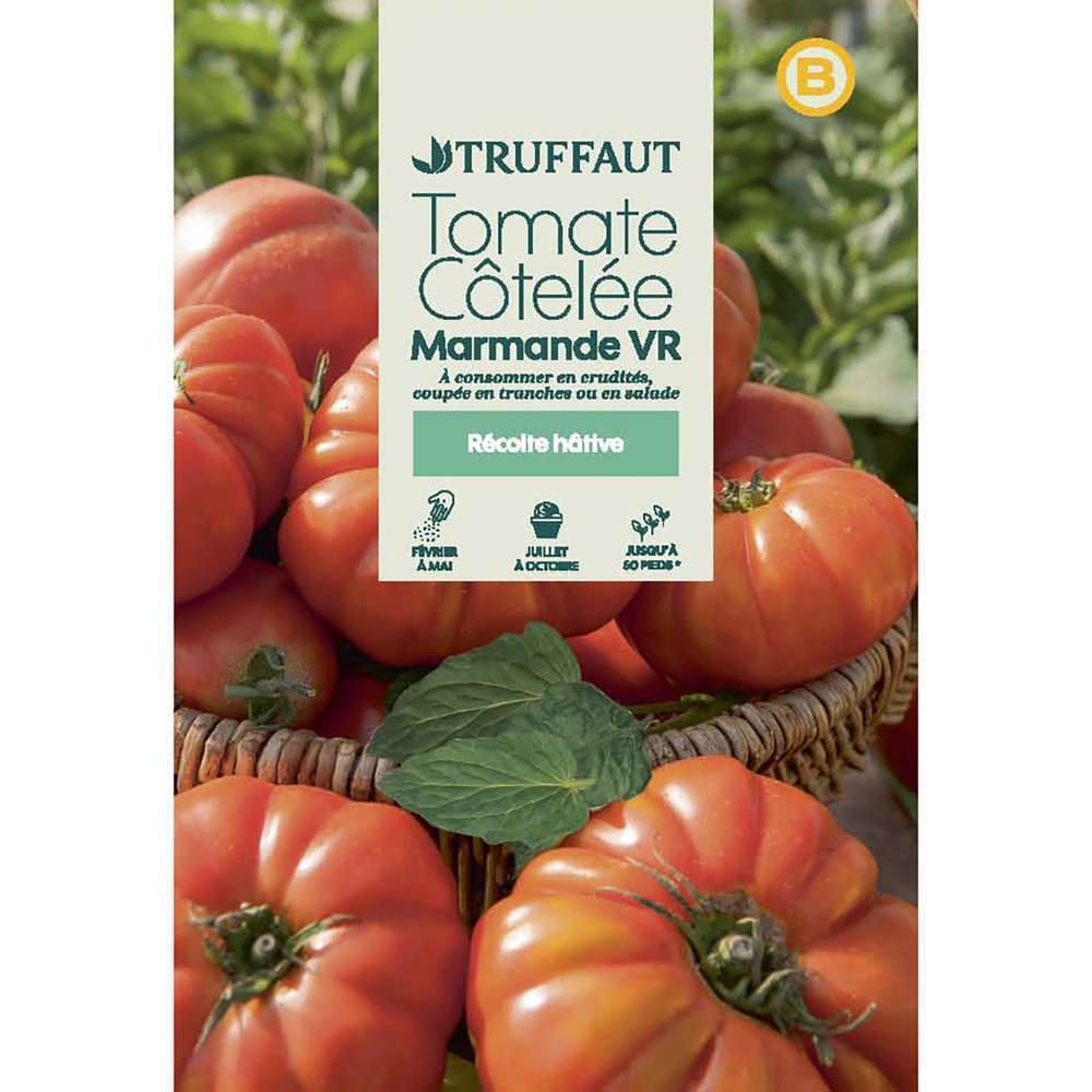 TOMATE MARMANDE VR TRUF-(726076)