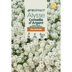 ALYSSE CORBEILLE D ARGENT-(726081)