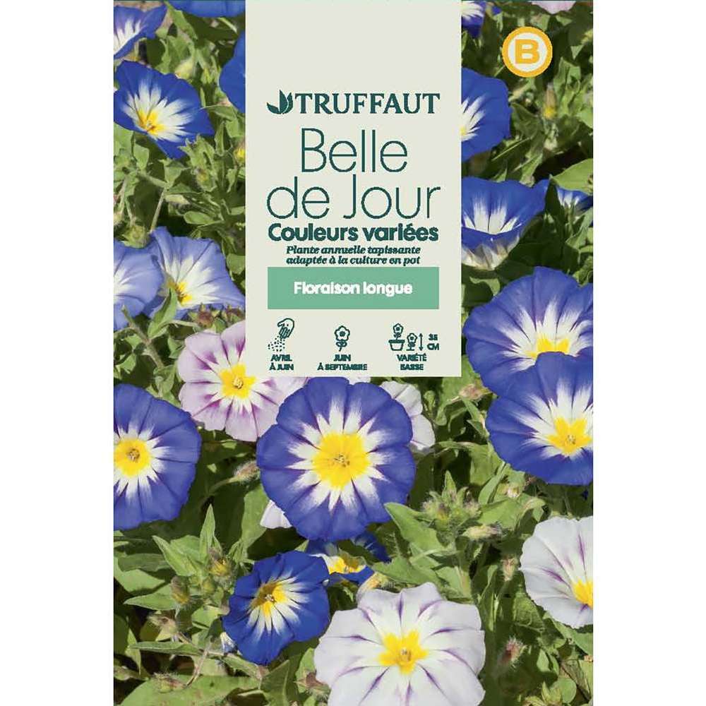 BELLE DE JOUR MIX TRUF-(726082)