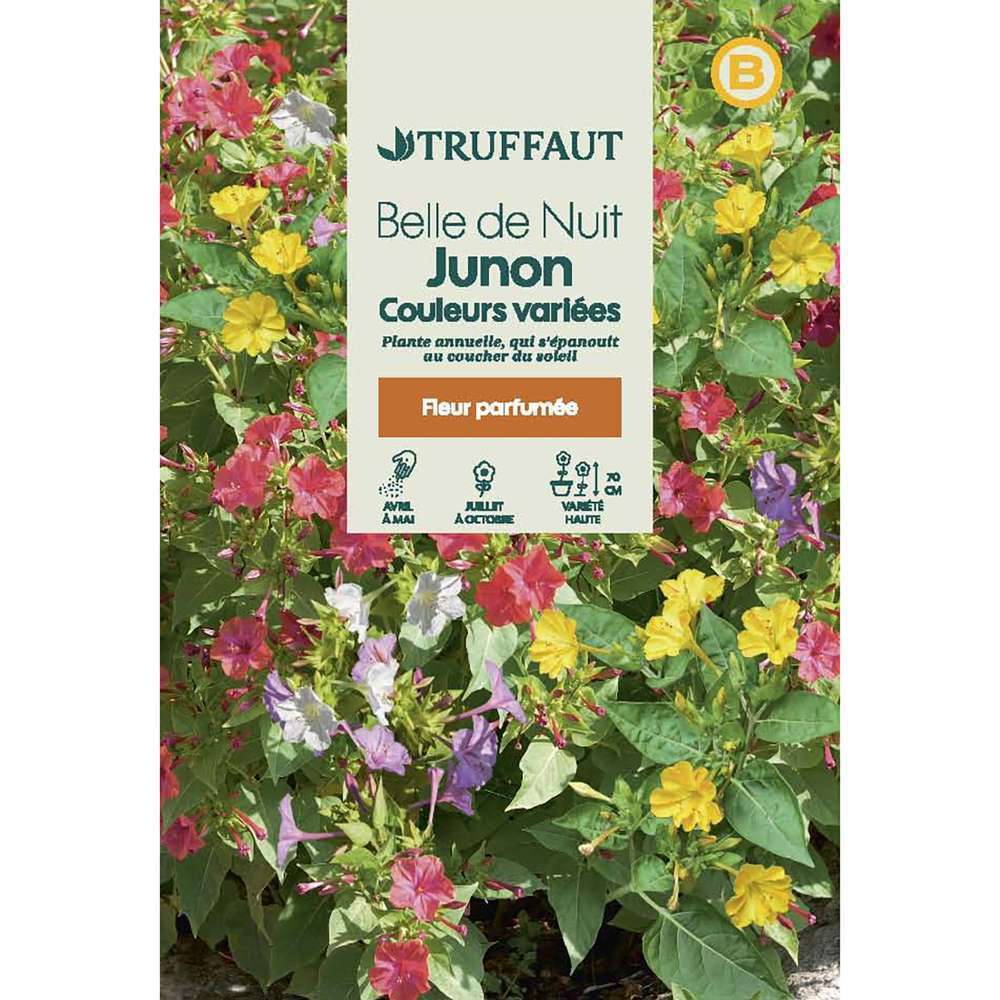 BELLE DE NUIT MIX TRUF-(726083)