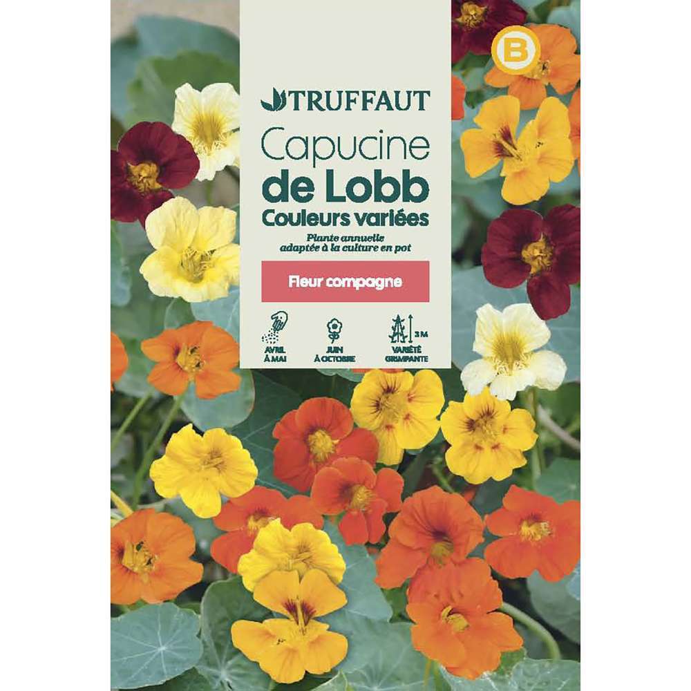 CAPUCINE LOBB MIX TRUF-(726084)