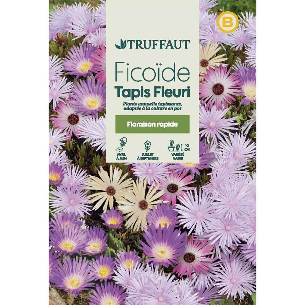 FICOIDE TAPIS FLEURI TRUF-(726093)