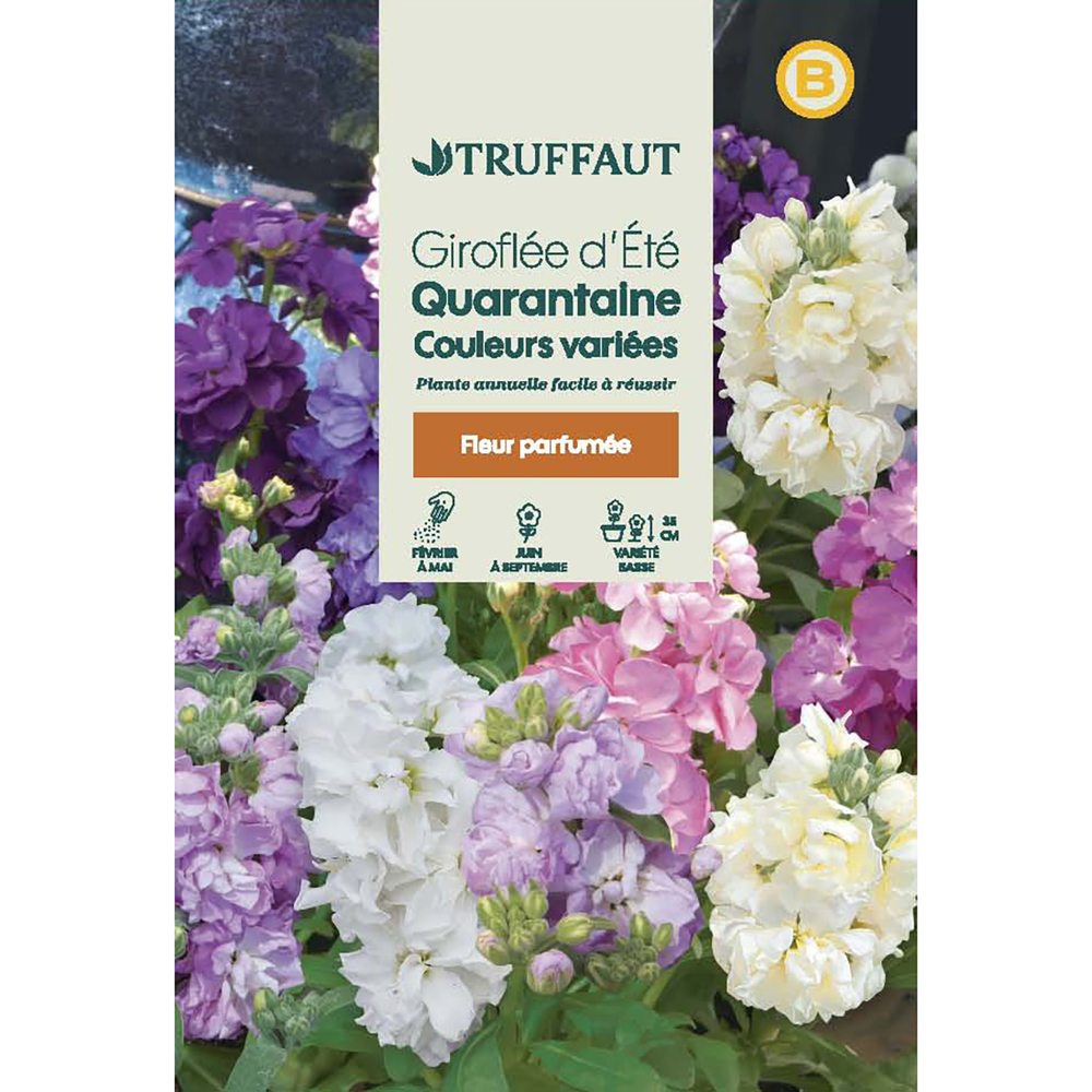 GIROFLEE QUARANT MIX TRUF-(726094)