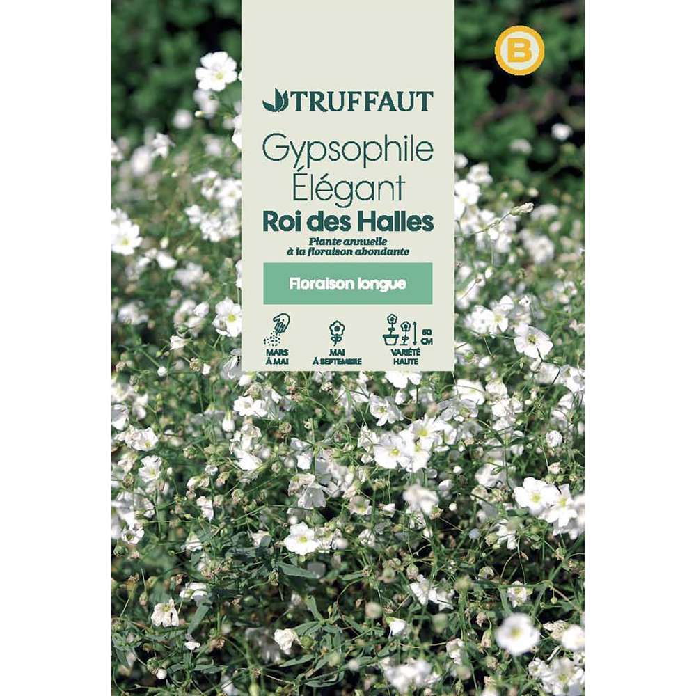 GYPSOPHILE ROI HALLES TRUF-(726095)