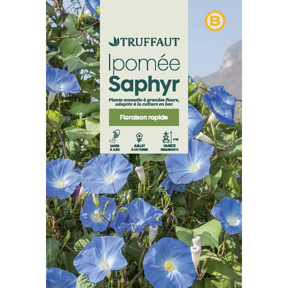 IPOMEE BLEUE TRUF-(726096)