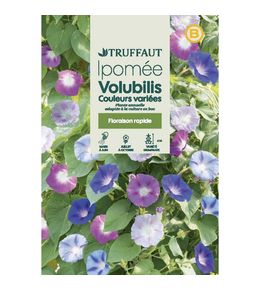 IPOMEE VOLUBILIS MIX TRUF-(726097)