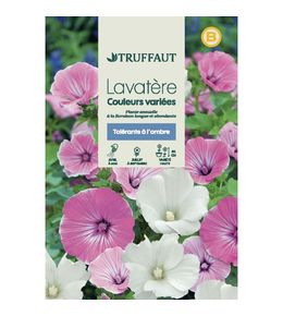 LAVATERE GRANDE MIX TRUF-(726098)
