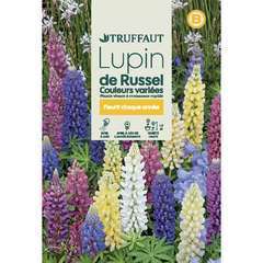 LUPIN VIVACE RUSSEL MIX TRUF-(726101)