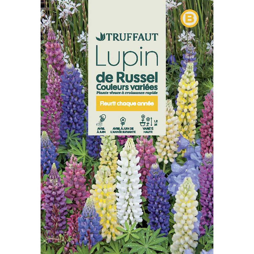 LUPIN VIVACE RUSSEL MIX TRUF-(726101)