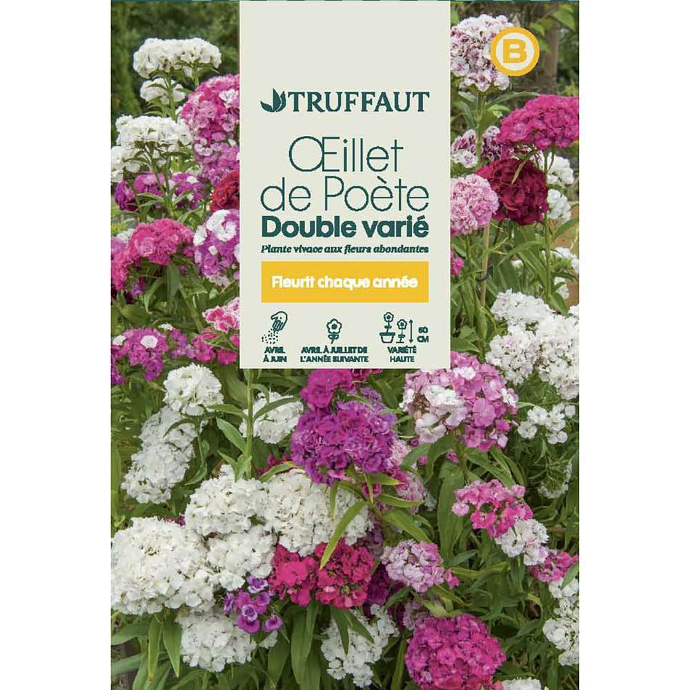 OEILLET POETE DBL MX TRUF-(726105)
