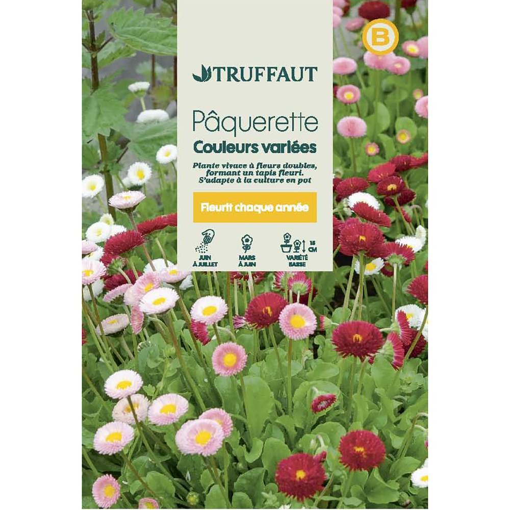 PAQUERETTE TAPIS MIX TRUF-(726106)