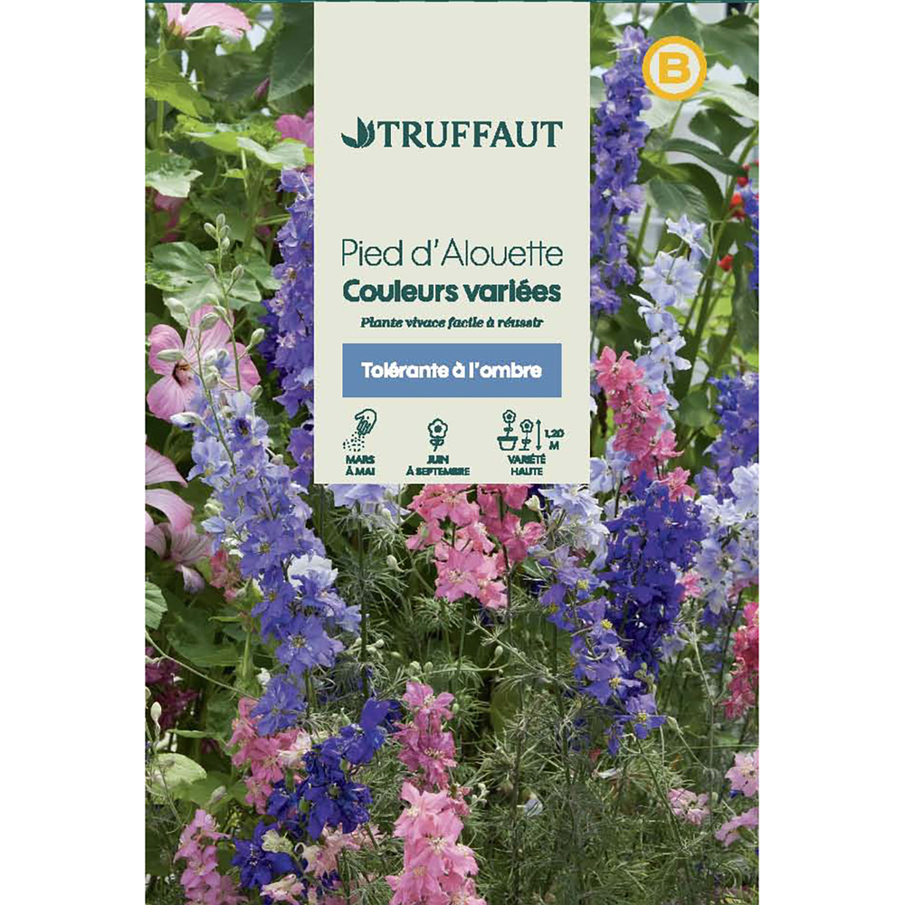 PIED ALOUETTE MIX TRUF-(726108)