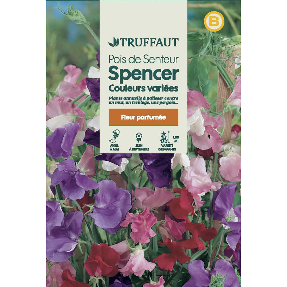 POIS SPENCER MIX TRUF-(726109)