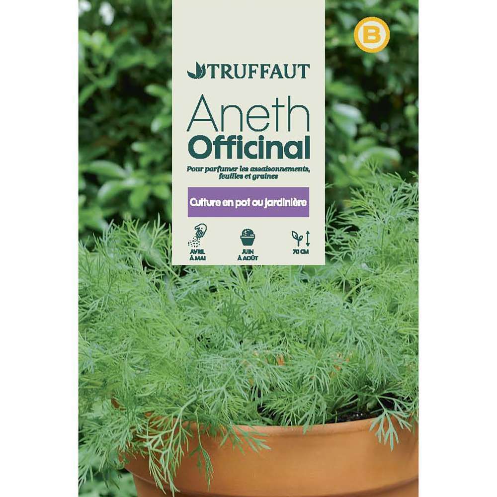 ANETH OFFICINAL TRUF-(726114)