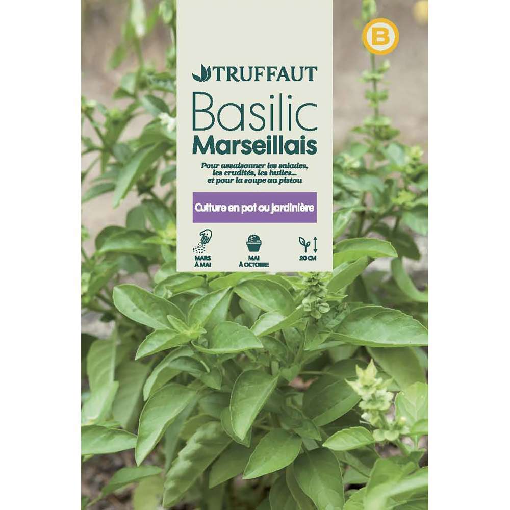 BASILIC MARSEILLAIS TRUF-(726117)