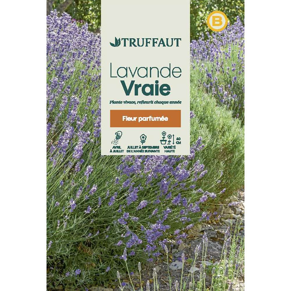 LAVANDE VRAIE TRUF-(726120)