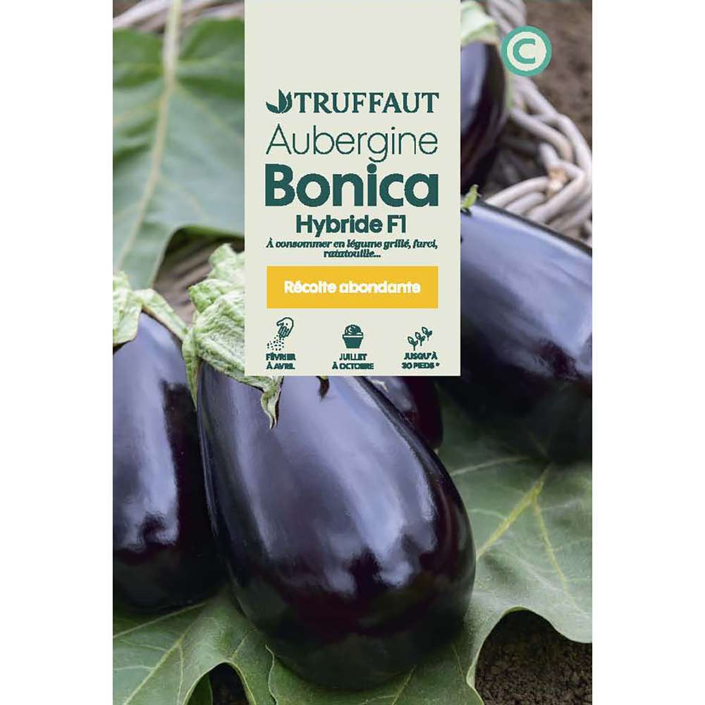 AUBERGINE BONICA HF1 TRUF-(726124)