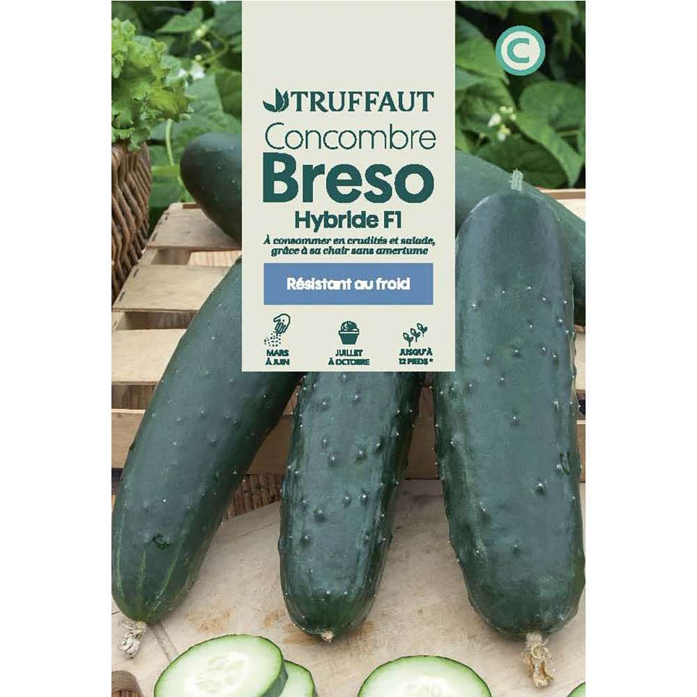 CONCOMBRE BRESO HF1 TRUF-(726133)