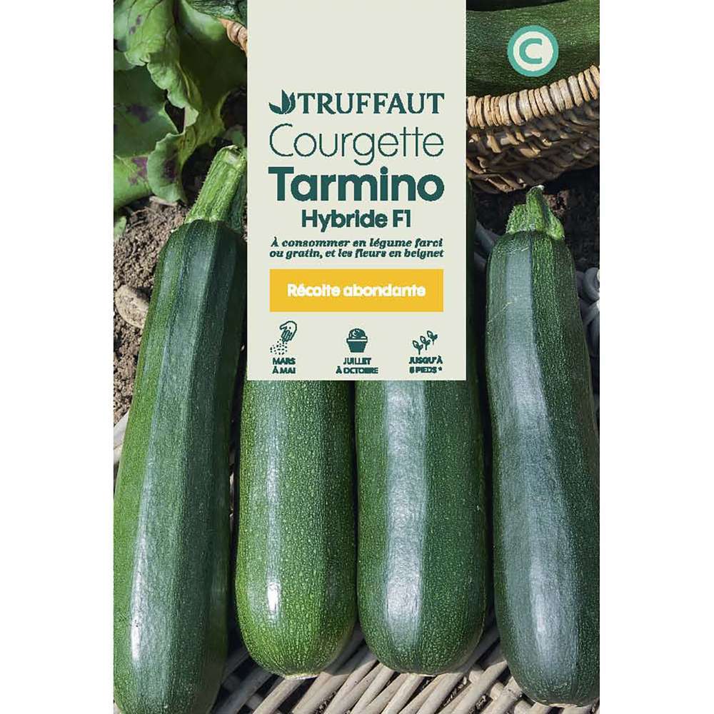 COURGETTE TARMINO HF1 TRUF-(726134)