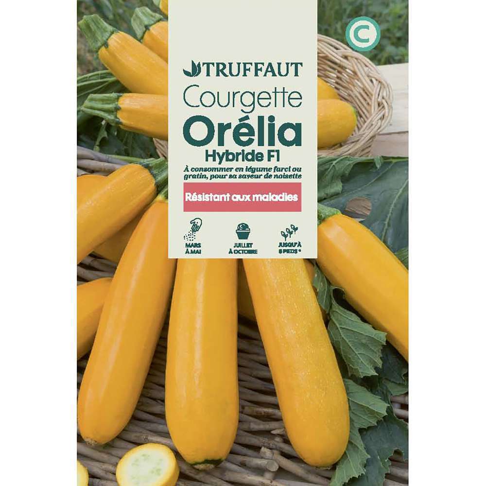 COURGETTE ORELIA HF1 TRUF-(726135)