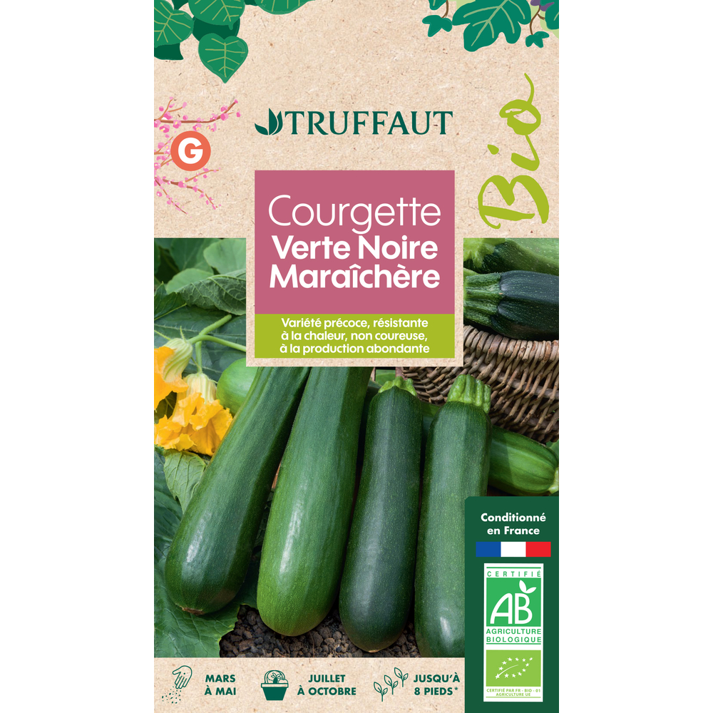 COURGETTE MARCHR BIO TRUF-(726136)