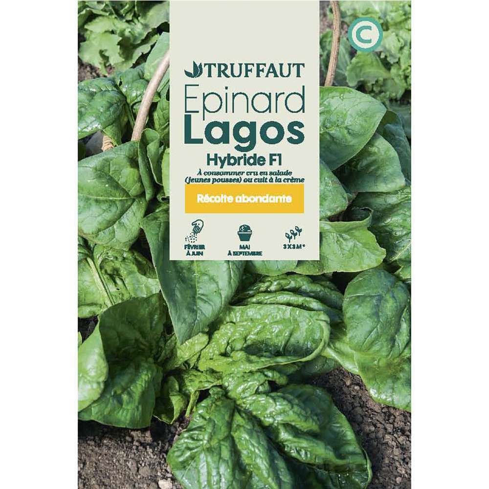 EPINARD LAGOS HF1 TRUF-(726137)