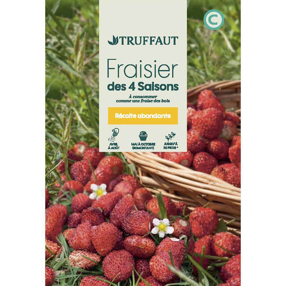 FRAISIER 4 SAISONS TRUF-(726139)